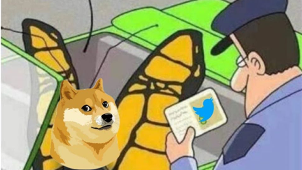 Twitter's Logo Switch to Shiba Inu Sends Dogecoin Soaring and Leaves Users Puzzled
